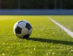 山东省开启,首批绿色外,债试点业务,大发彩票,大发彩票官方平台,大发彩票APP下载,大发彩票开奖结果,大发彩票正规