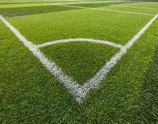 蛇年彩运亨,期双色球红,蓝球精准预,大发彩票,大发彩票官方平台,大发彩票APP下载,大发彩票开奖结果,大发彩票正规