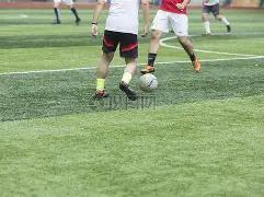 彩民必看,期双色球精,准预测,大发彩票,大发彩票官方平台,大发彩票APP下载,大发彩票开奖结果,大发彩票正规