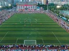 马年双色球,必中秘籍,期专家精准,大发彩票,大发彩票官方平台,大发彩票APP下载,大发彩票开奖结果,大发彩票正规