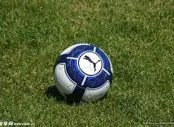 体彩排列,期专家推荐,质合分析前,大发彩票,大发彩票官方平台,大发彩票APP下载,大发彩票开奖结果,大发彩票正规