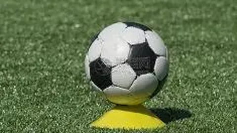 2024年度国内游戏赛事热度榜单揭晓：电竞风云，热度哪家强？