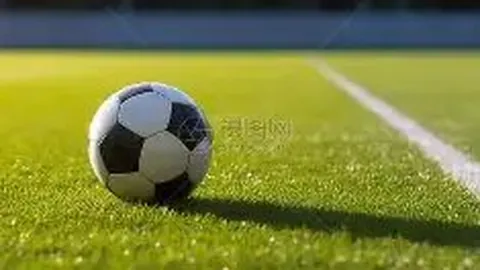 山东省开启首批绿色外债试点业务实施