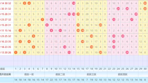 【惊喜揭晓】第26009期大乐透独家前区热选号码大底，速来抢购支持！🎯🎊