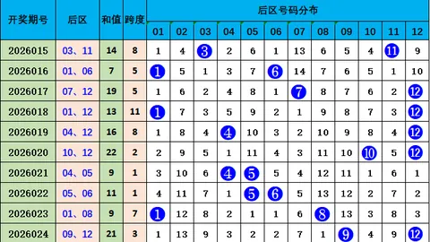 2026073期 大乐透期号四胆全拖预测：名家汇总定四胆